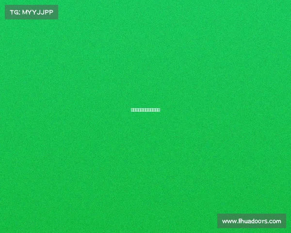 河北保定电子竞技王者荣耀